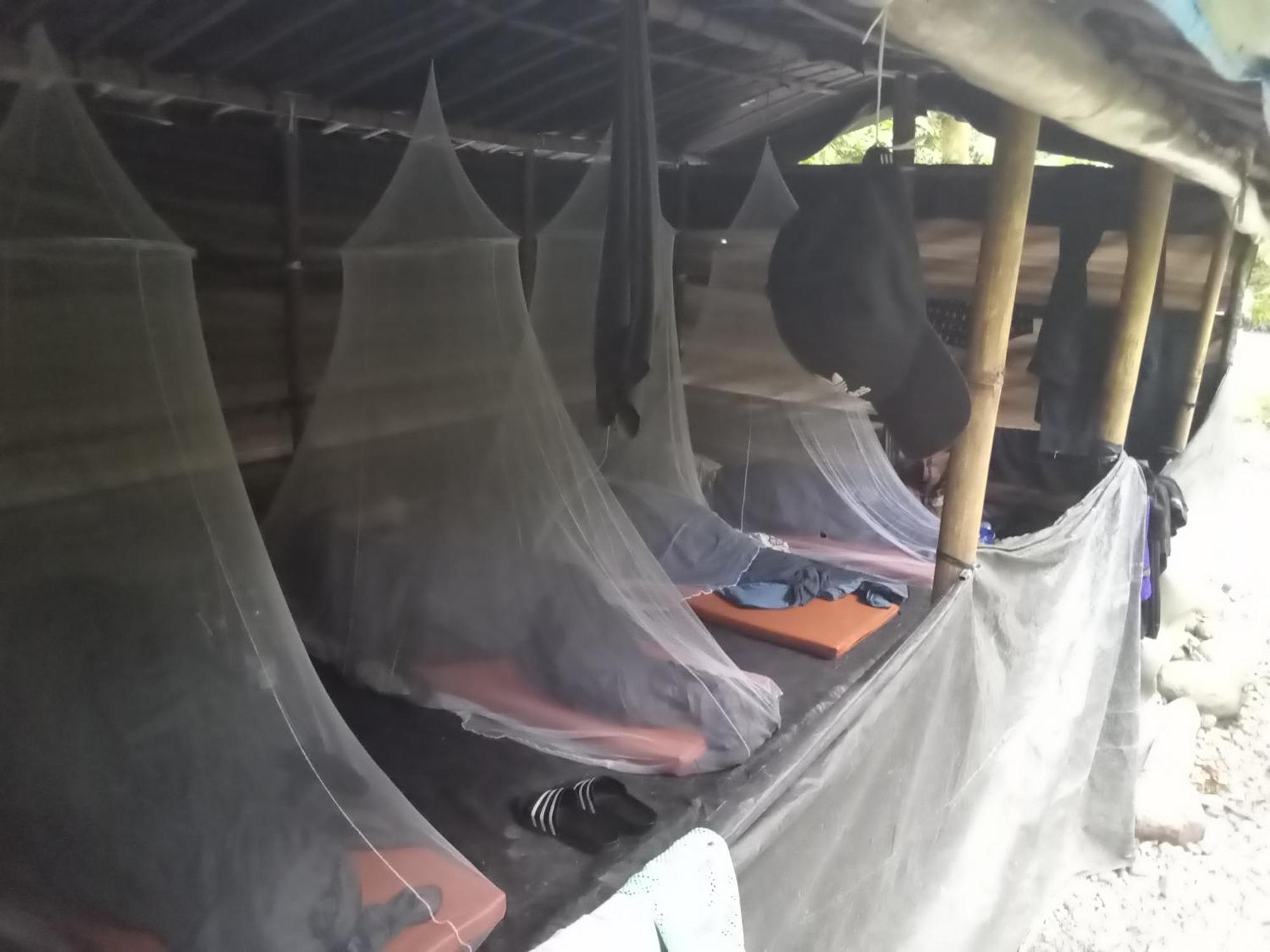 Jungle Treking & Jungle Tour If You Want To Stay Here,You Must Book Treking Only With Us Bukit Lawang Exterior photo