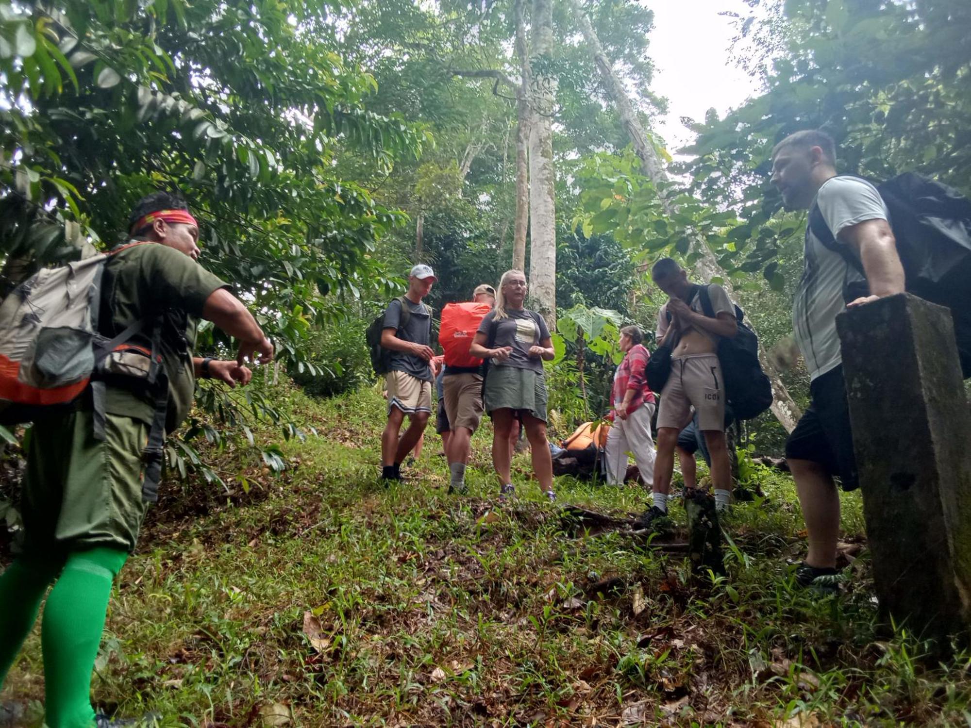 Jungle Treking & Jungle Tour If You Want To Stay Here,You Must Book Treking Only With Us Bukit Lawang Exterior photo